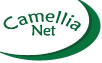 camellia